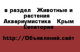  в раздел : Животные и растения » Аквариумистика . Крым,Евпатория